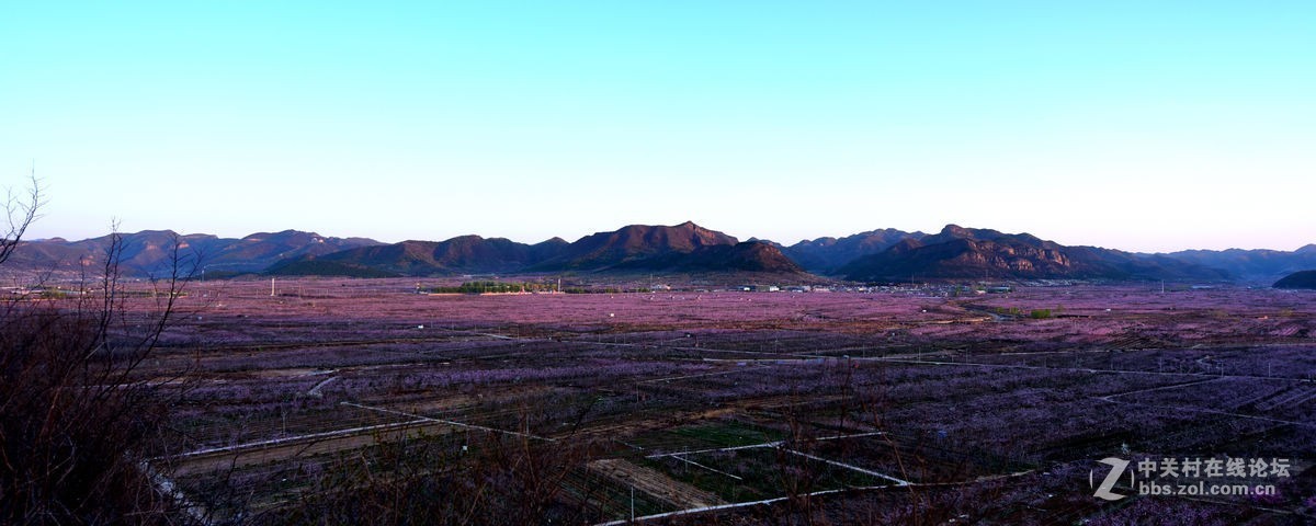 平谷“小景山”山看——桃花海