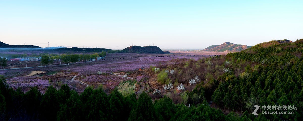 平谷“小景山”山看——桃花海