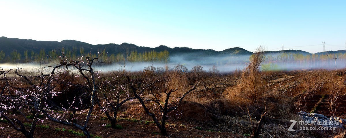 平谷“小景山”山看——桃花海