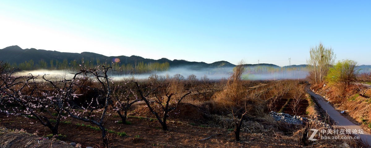 平谷“小景山”山看——桃花海