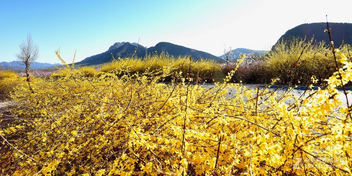 平谷“小景山”山看——桃花海