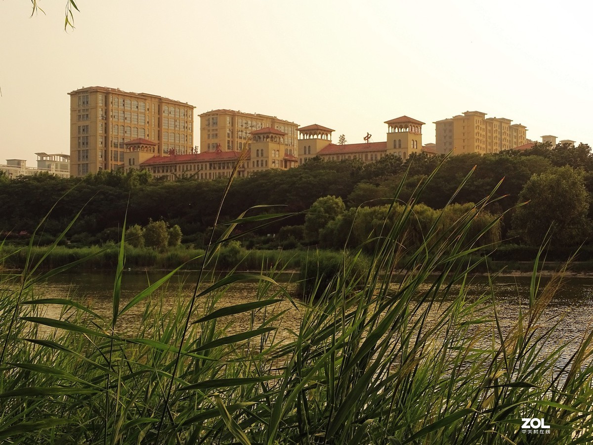 走走拍拍（2019.07.28-3）