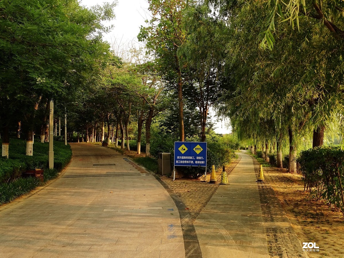 走走拍拍（2019.07.28-3）