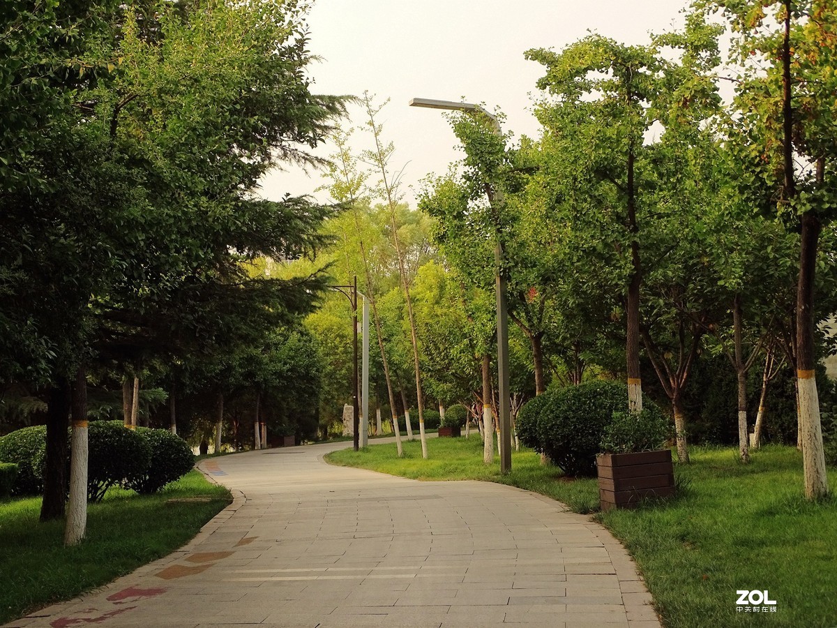 走走拍拍（2019.07.28-3）