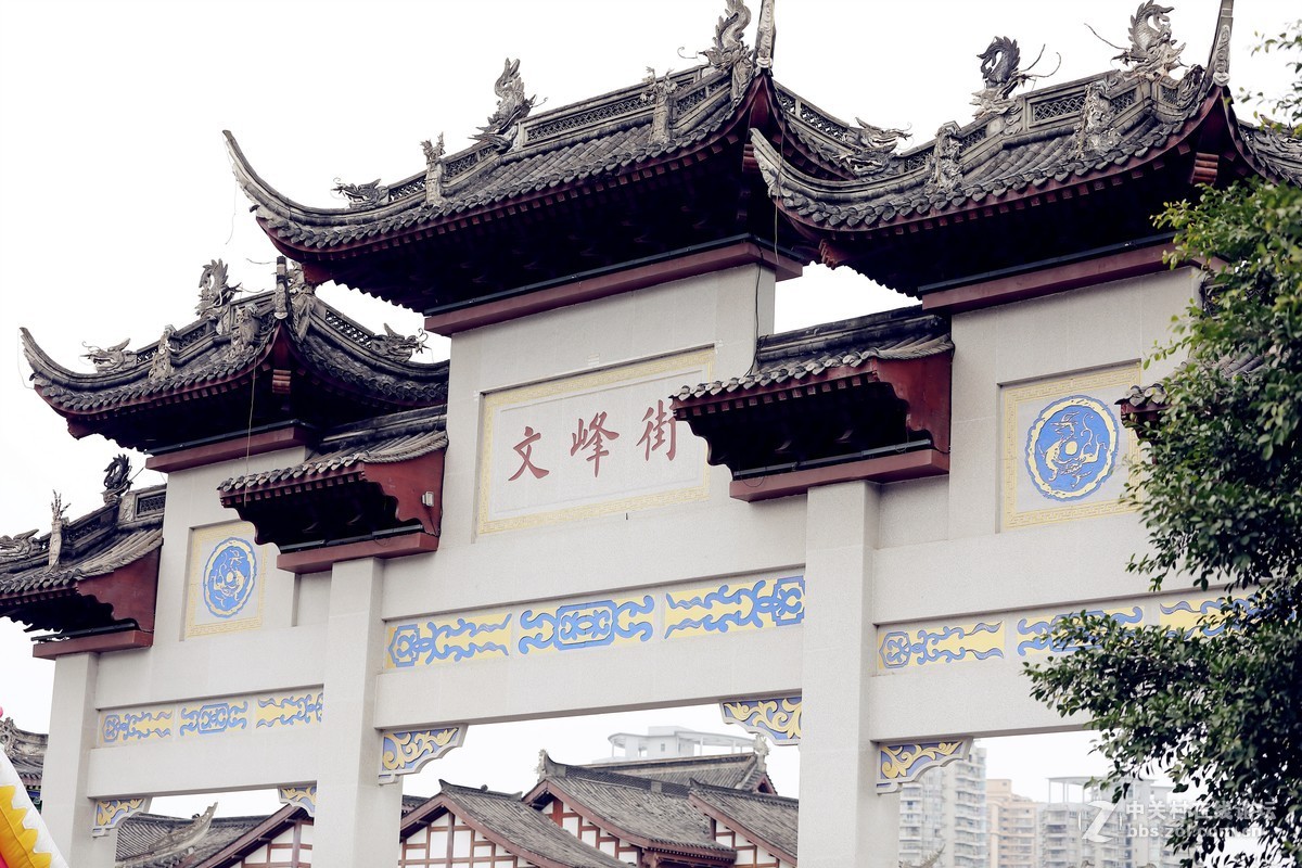 新购入适马70-200 2.8 S版拍摄