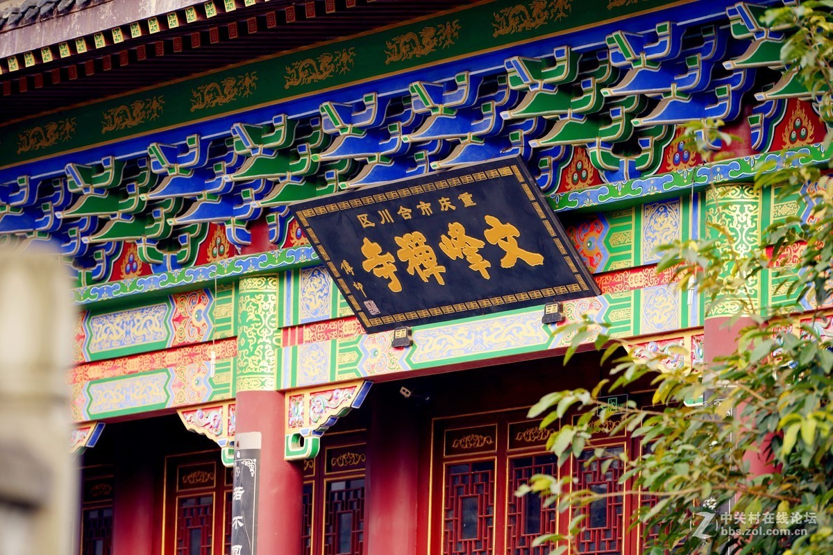 新购入适马70-200 2.8 S版拍摄