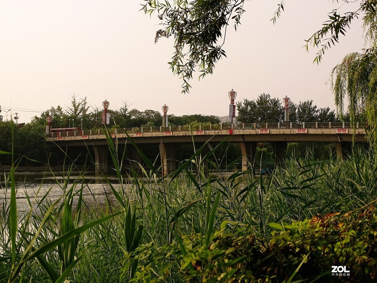 走走拍拍（2019.07.28-3）