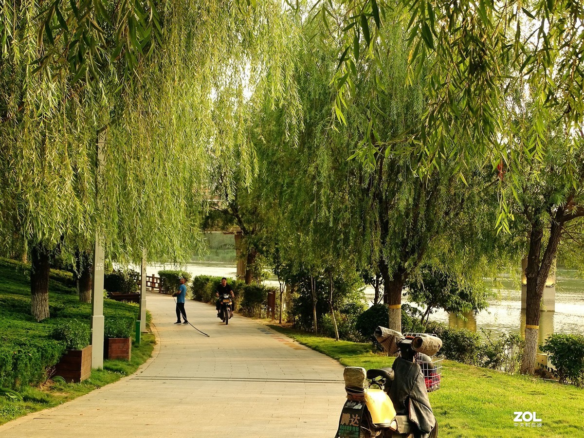 走走拍拍（2019.07.28-3）