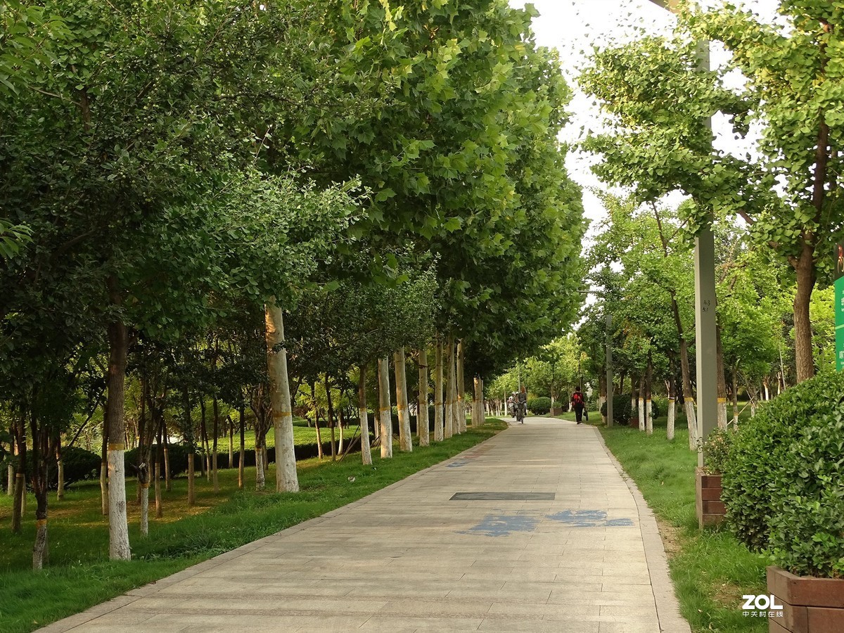 走走拍拍（2019.07.28-3）