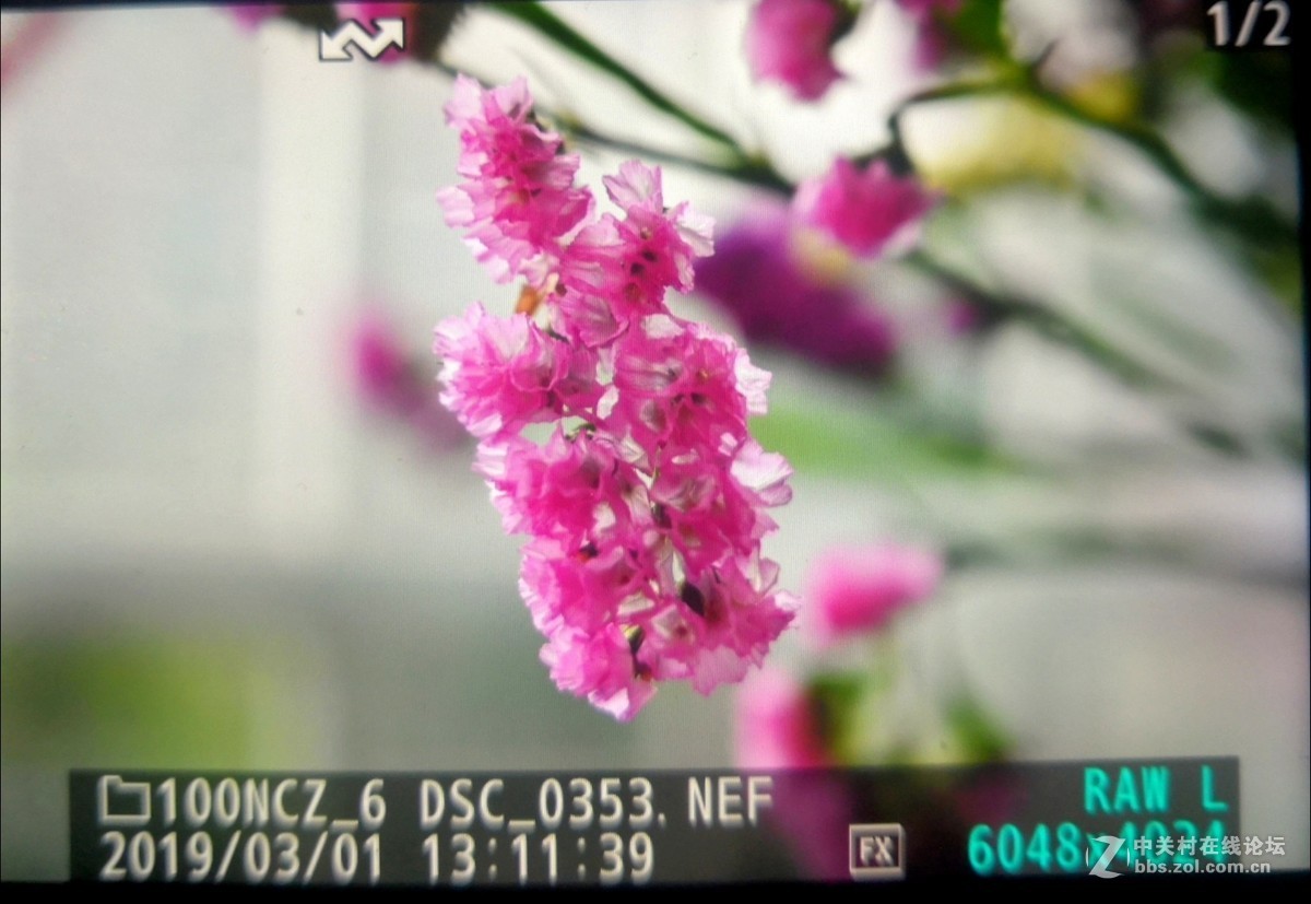请教大师们