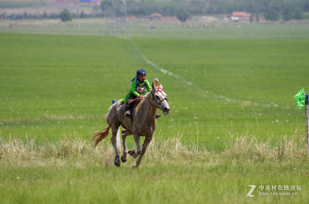 记.西乌珠穆沁旗草原文化节-少年赛马