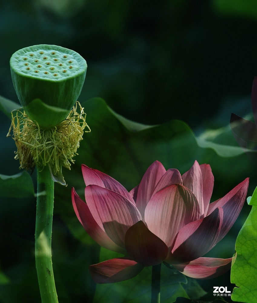 换个拍法试试！