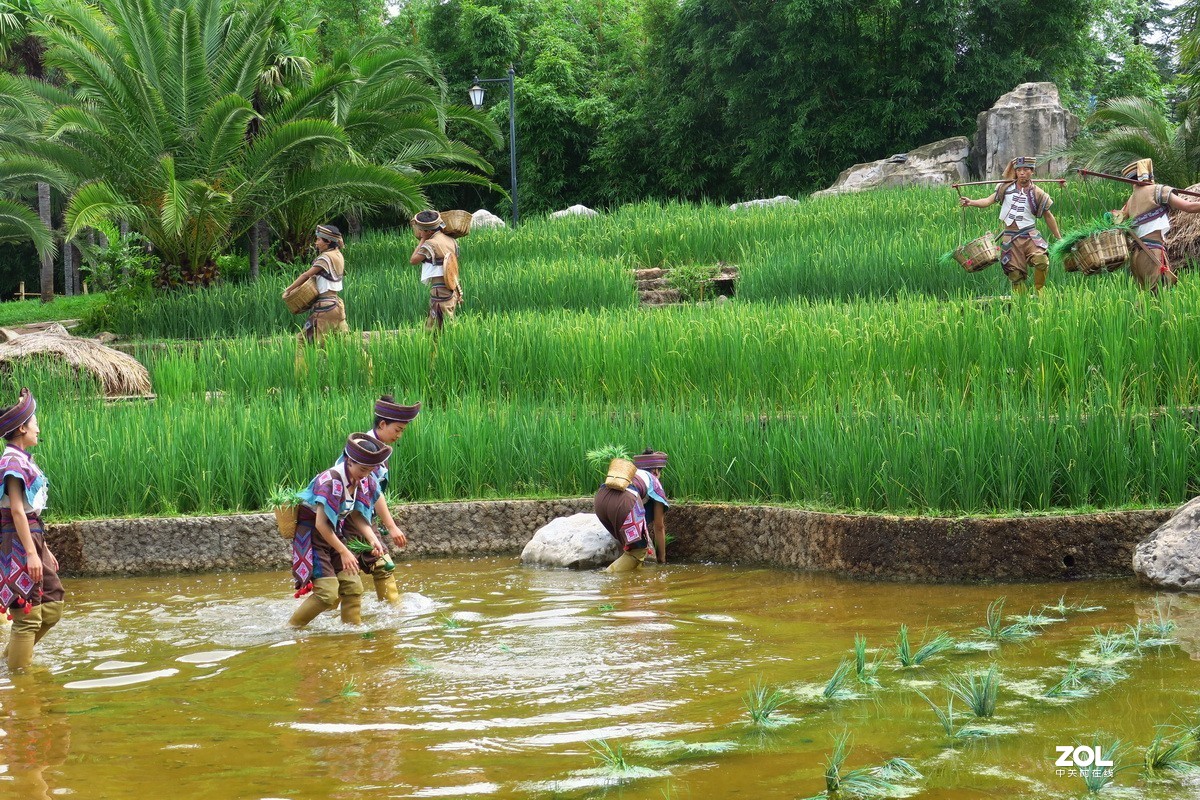 云南民族村里的歌舞表演——哈尼族田间歌舞之（插秧山歌）