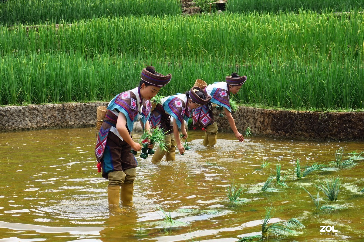 云南民族村里的歌舞表演——哈尼族田间歌舞之（插秧山歌）