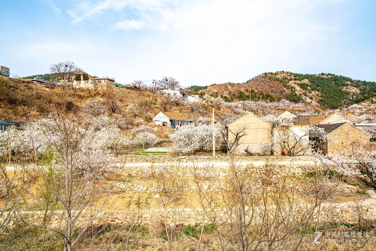 霞沟村（街头巷尾）
