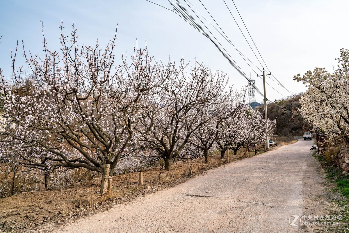 霞沟村（街头巷尾）