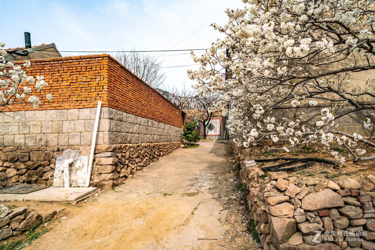 霞沟村（街头巷尾）