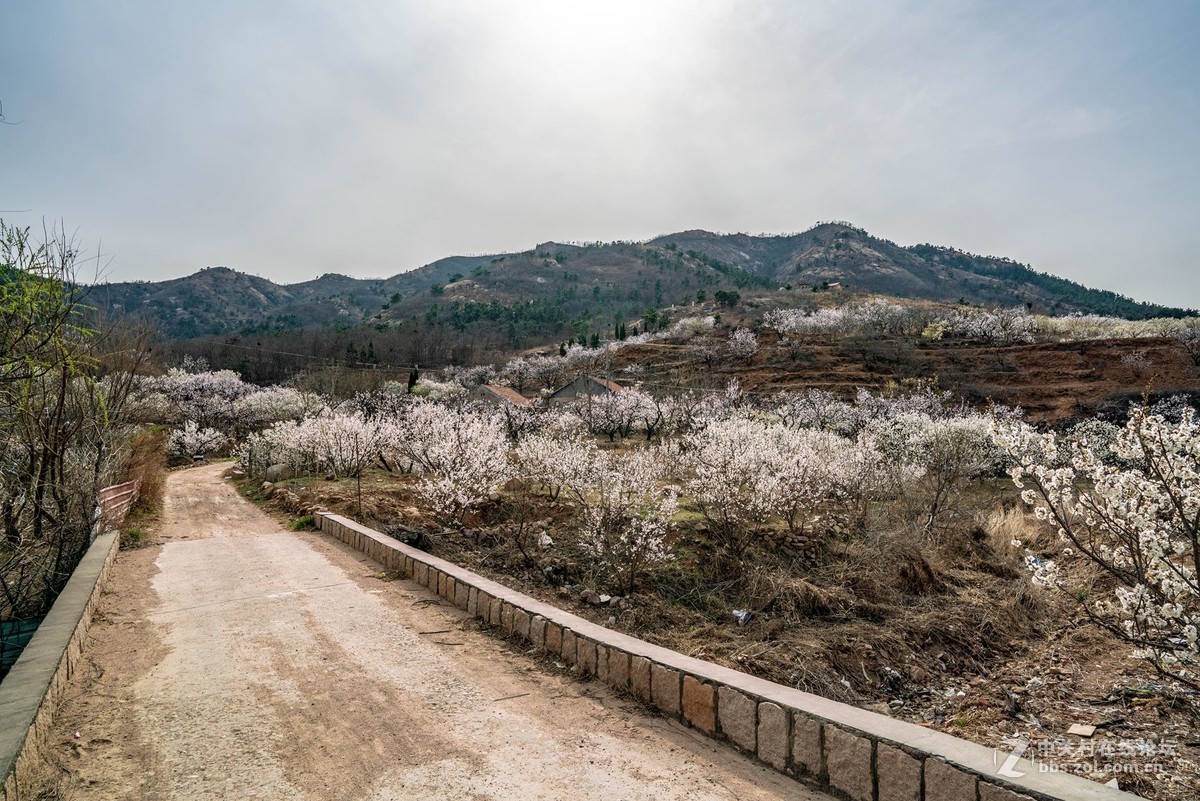 霞沟村（街头巷尾）