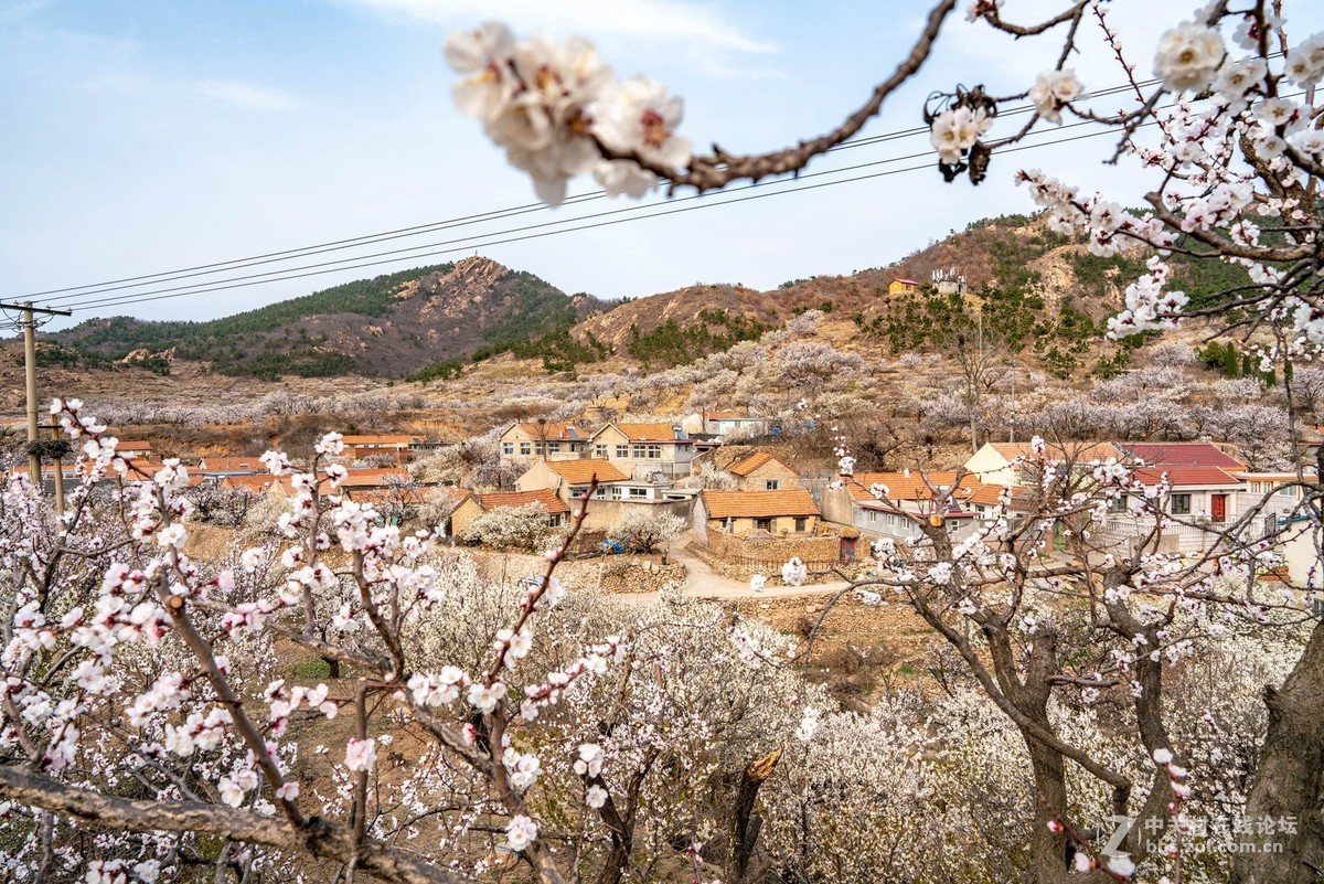 霞沟村（街头巷尾）