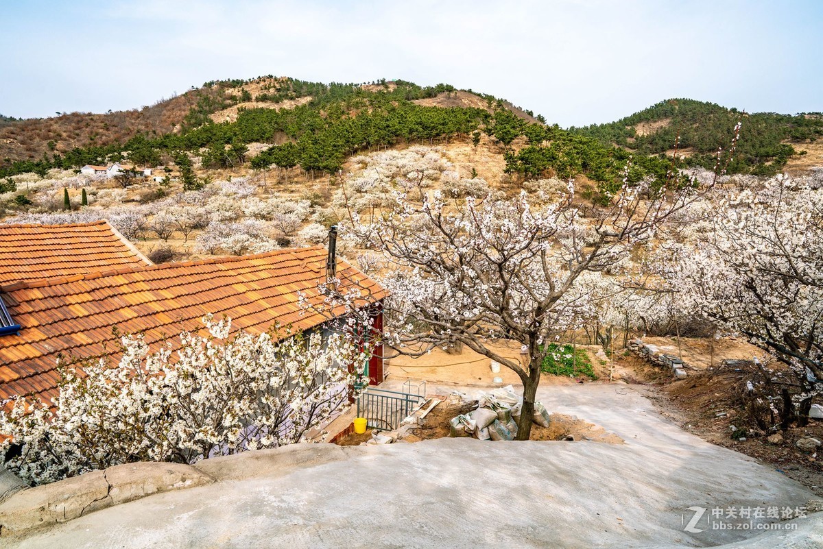 霞沟村（街头巷尾）