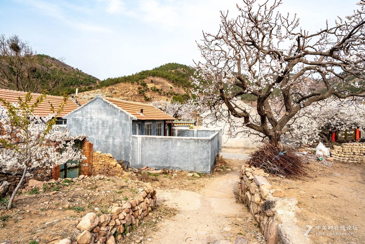 霞沟村（街头巷尾）