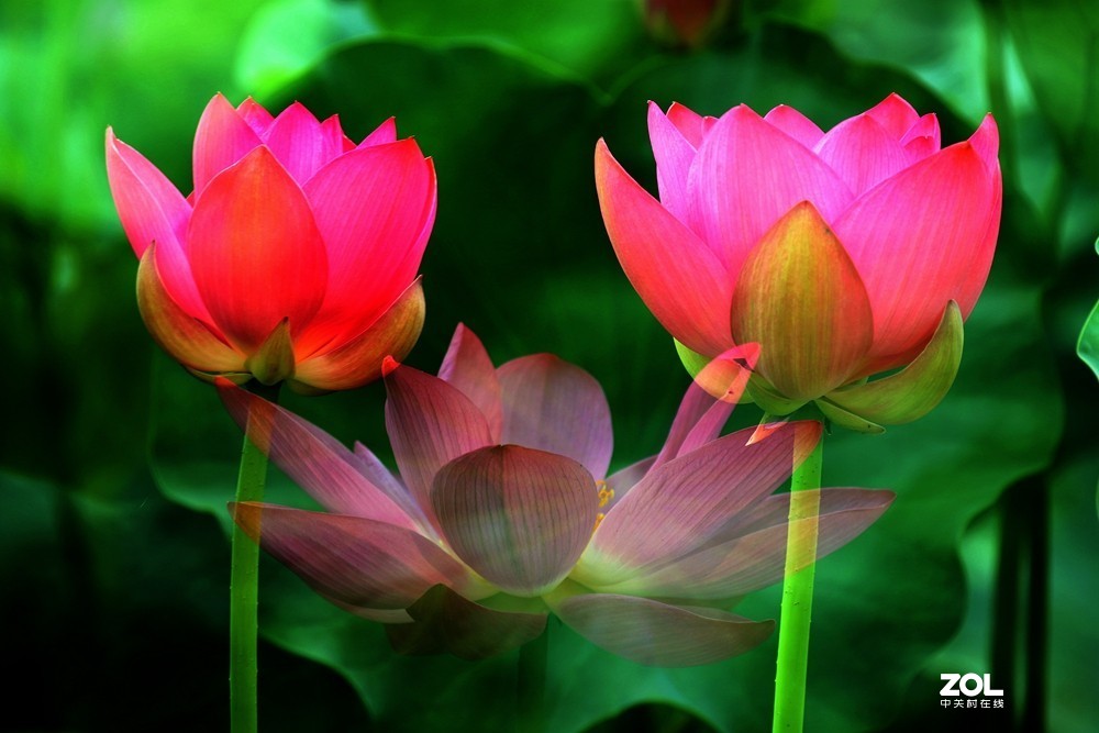 换个拍法试试！