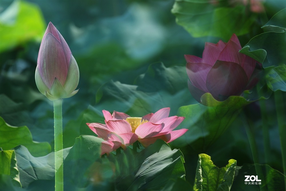 换个拍法试试！