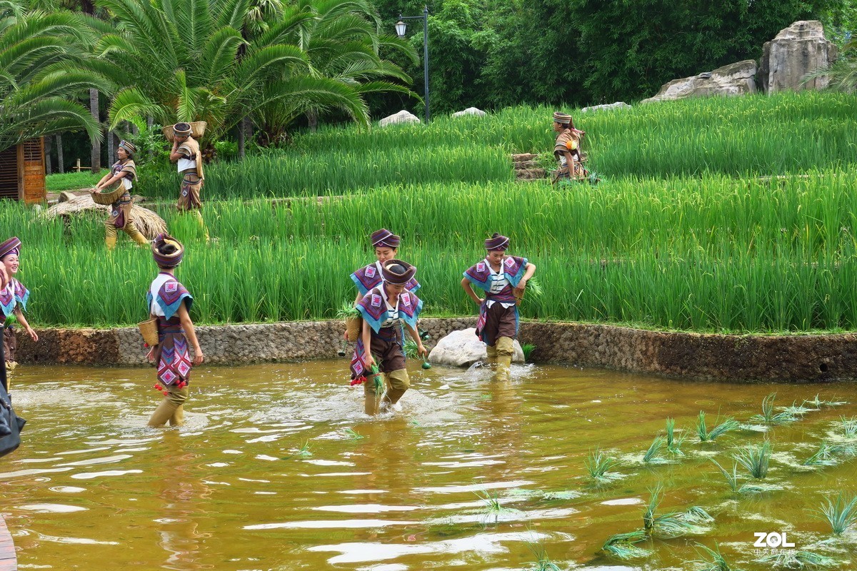 云南民族村里的歌舞表演——哈尼族田间歌舞之（插秧山歌）