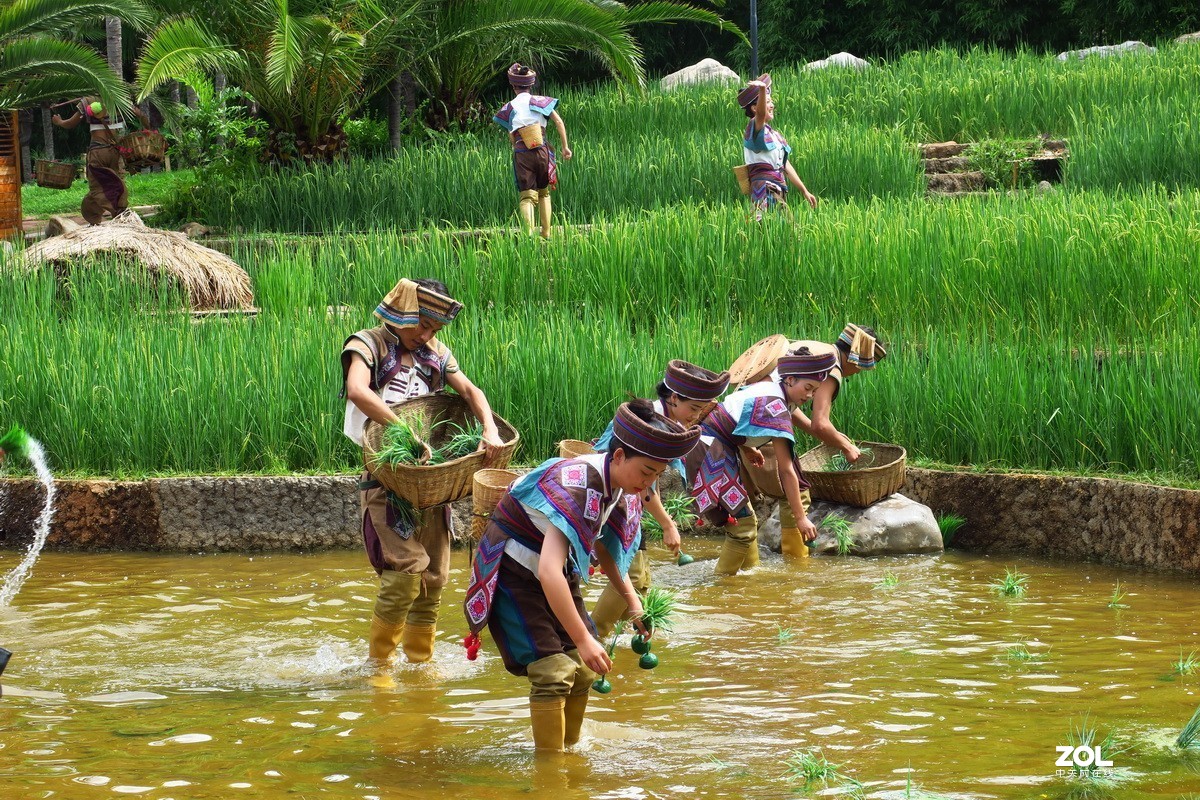 云南民族村里的歌舞表演——哈尼族田间歌舞之（插秧山歌）