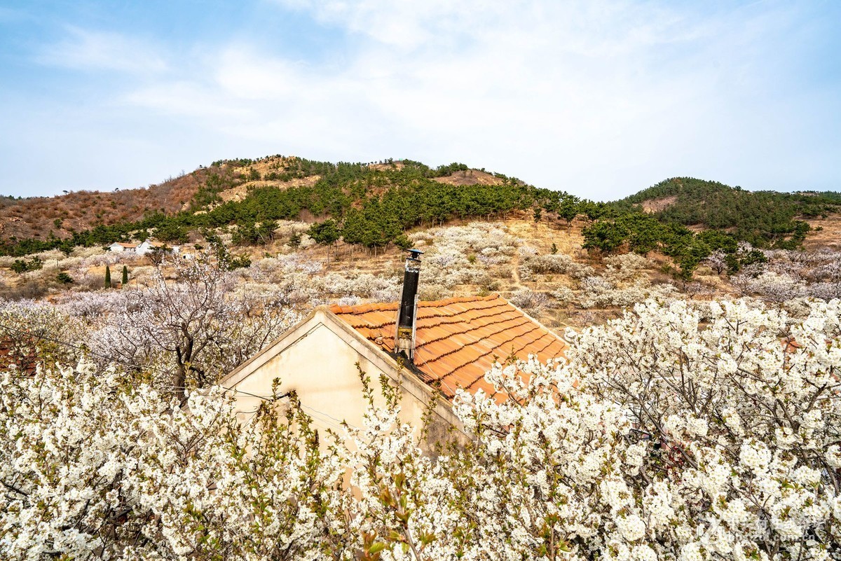 霞沟村（街头巷尾）