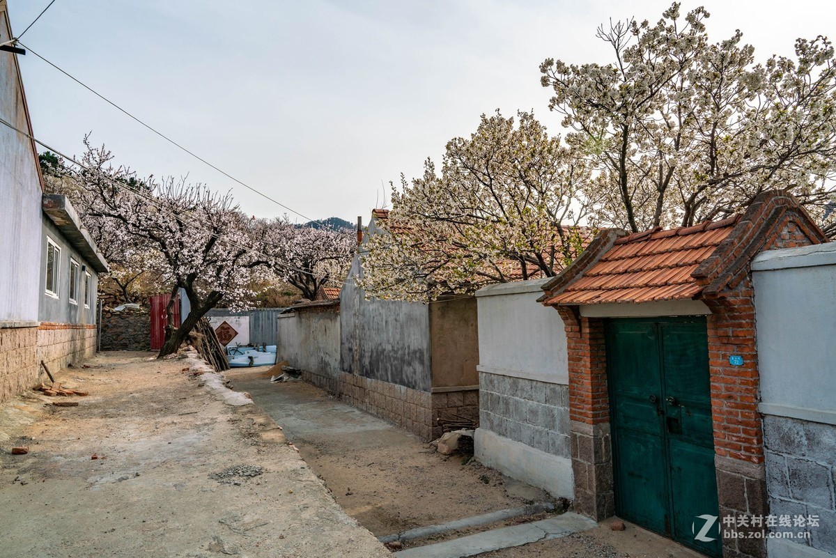 霞沟村（街头巷尾）