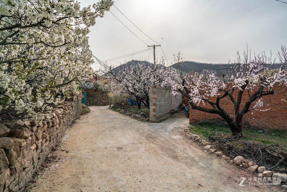 霞沟村（街头巷尾）
