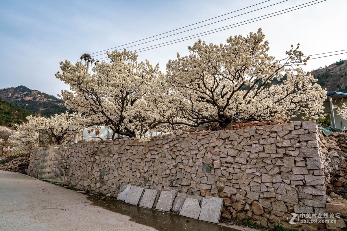 霞沟村（街头巷尾）