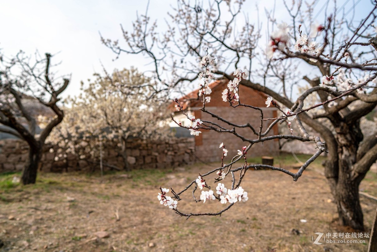 霞沟村（街头巷尾）