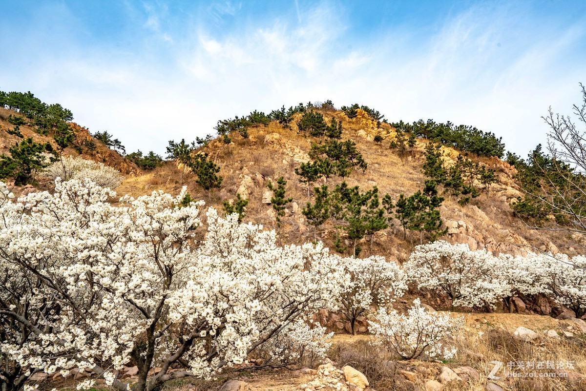 霞沟村（街头巷尾）