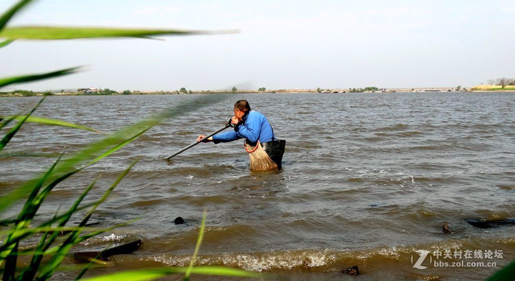松花江边网鱼