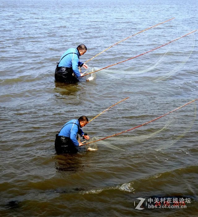 松花江边网鱼