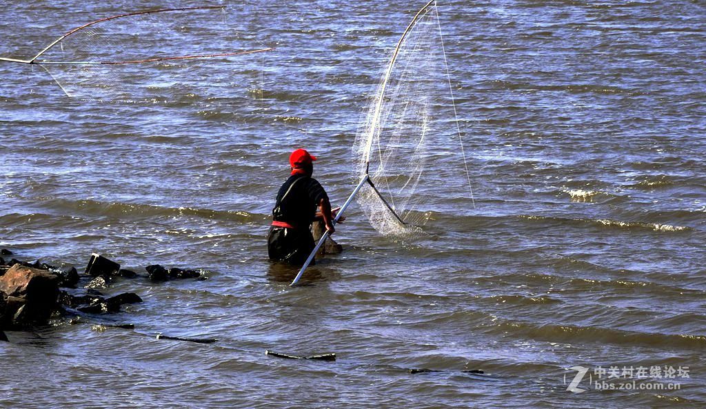 松花江边网鱼