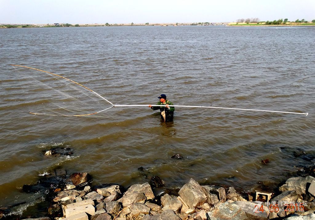 松花江边网鱼