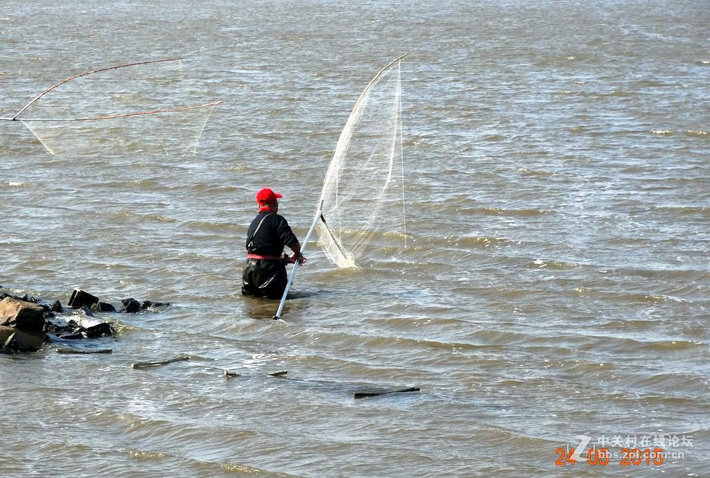 松花江边网鱼