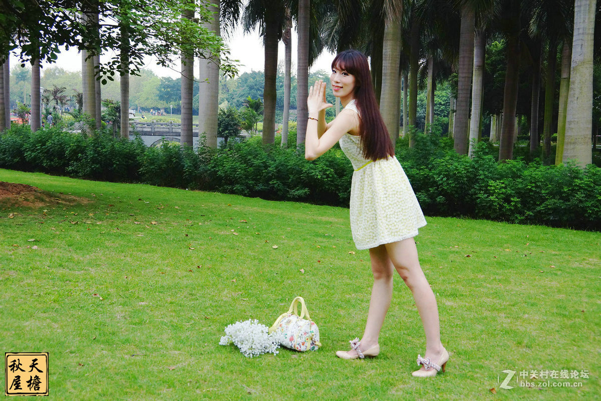 南湖名树园拍美女