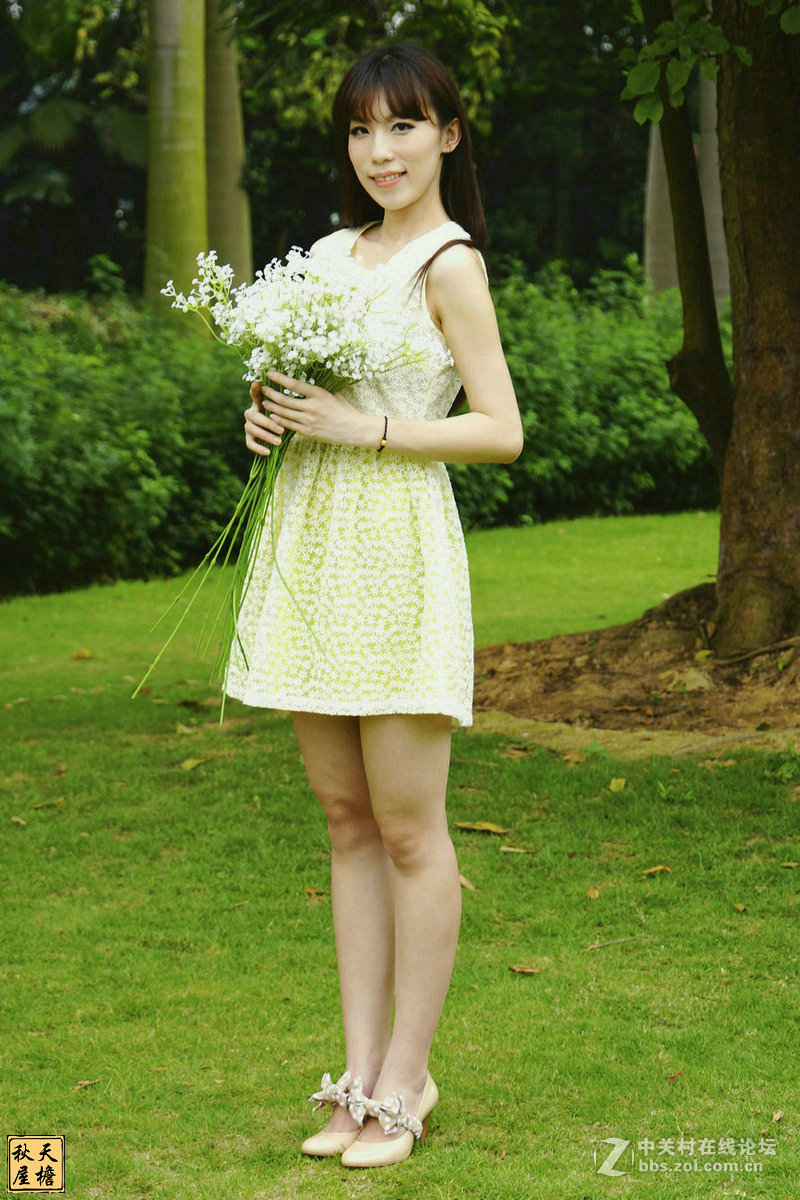 南湖名树园拍美女