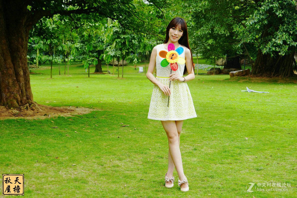 南湖名树园拍美女