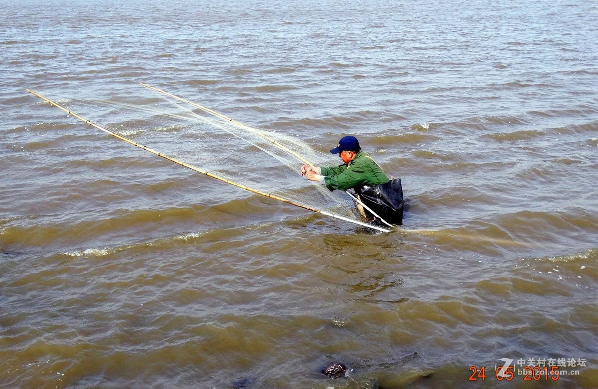 松花江边网鱼