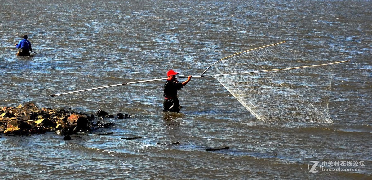 松花江边网鱼