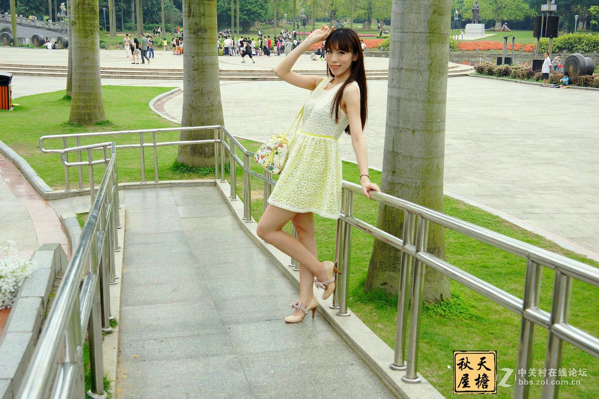 南湖名树园拍美女