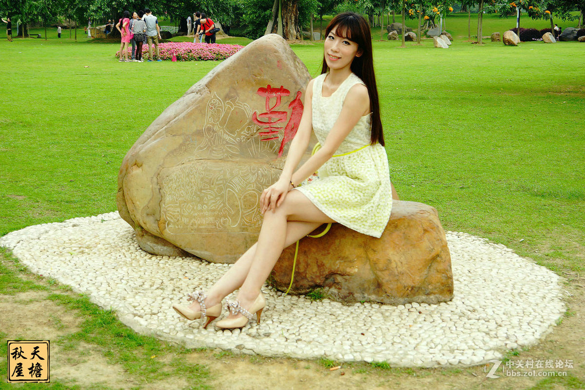 南湖名树园拍美女