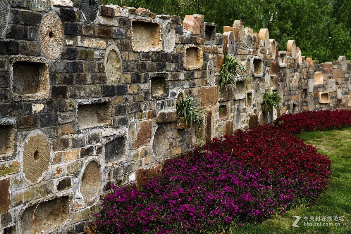 昨天入手今天拍，摸索中