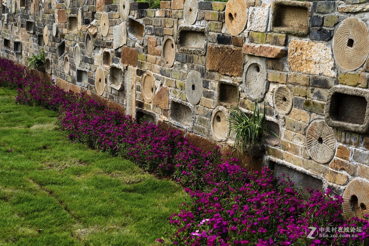 昨天入手今天拍，摸索中