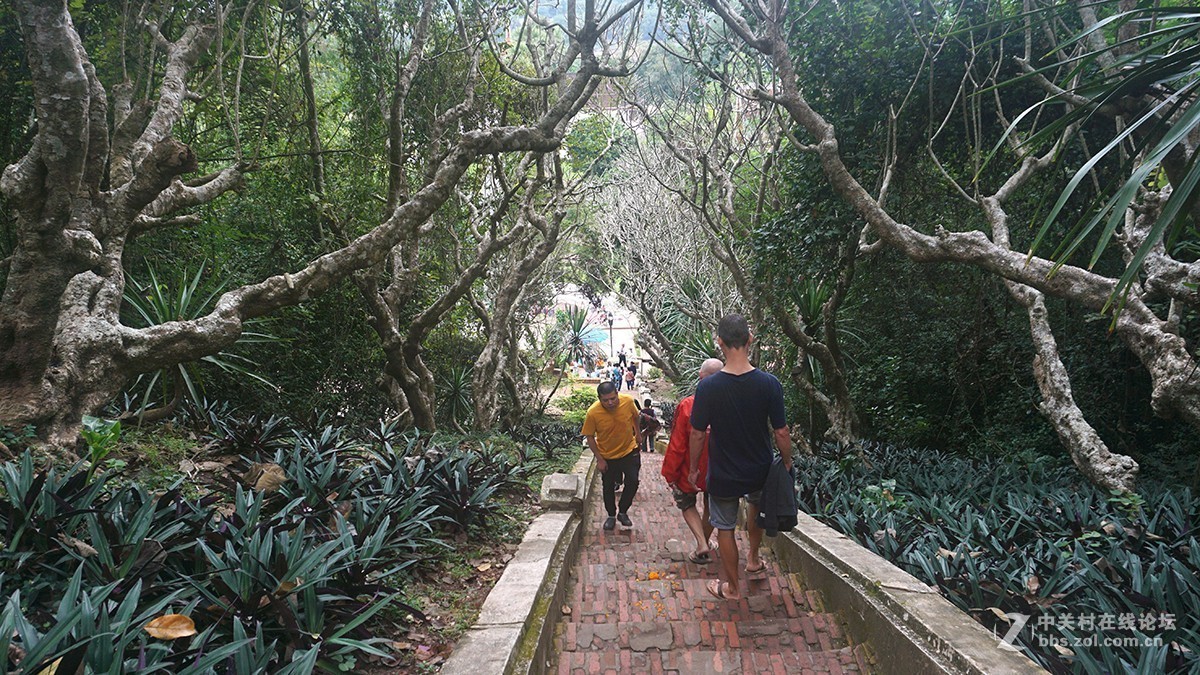 老挝见闻 （上）